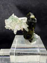 Load image into Gallery viewer, Epidote-01
