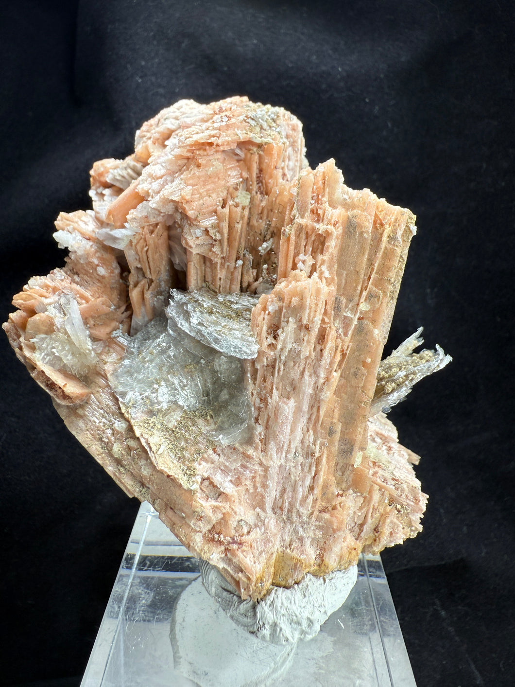 Schizolite-01