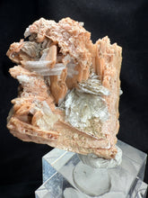 Load image into Gallery viewer, Schizolite-01
