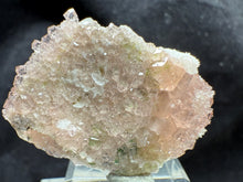 Load image into Gallery viewer, Garnet-17
