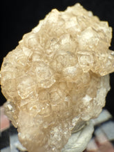 Load image into Gallery viewer, Garnet-22
