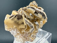 Load image into Gallery viewer, Dolomite-01
