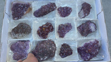 Load and play video in Gallery viewer, Amethyst lot 12 specimens

