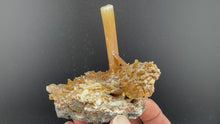 Load and play video in Gallery viewer, Gypsum-08
