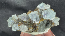 Load and play video in Gallery viewer, Fluorite-27
